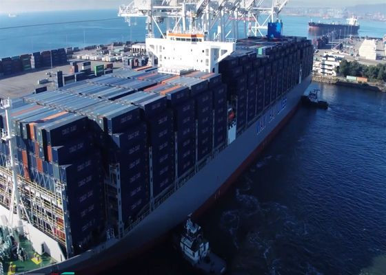 Reliable Sea Freight Forwarding Door to Door Service to Australia
