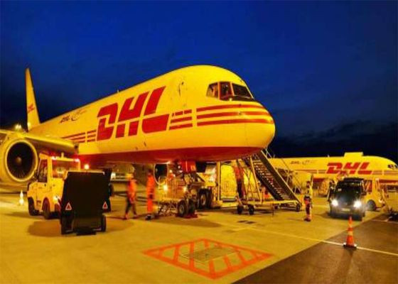 All Types DHL FedEx UPS International Express Freight Service from China to The World