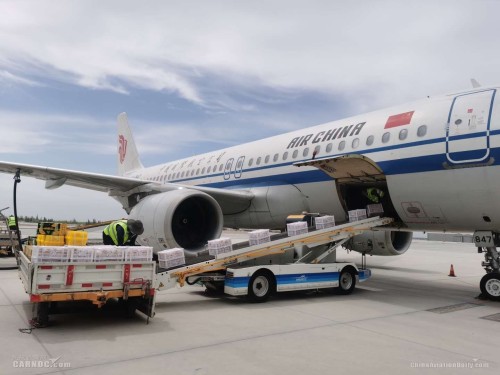 Worldwide Air Sea Shipping Door to Door Freight Forwarder Logistics Service from China to USA Malaysia India